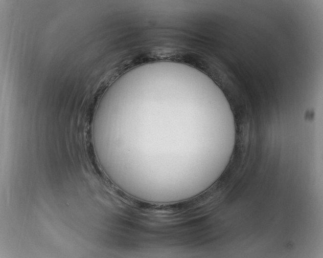 X0000112790653200908210940