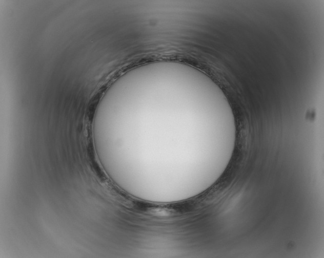 X0000112790654200908210940