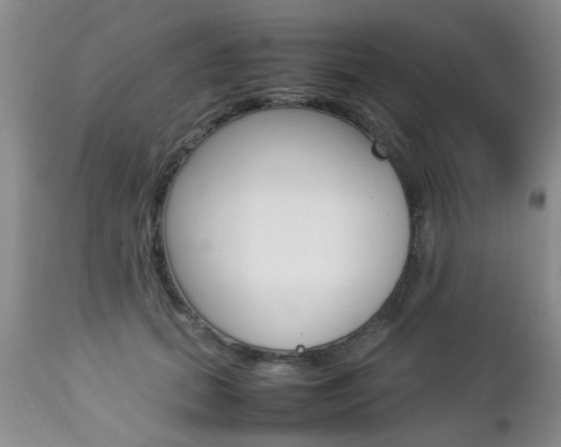 X0000112790655200908210940