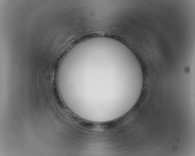 X0000112790656200908210940