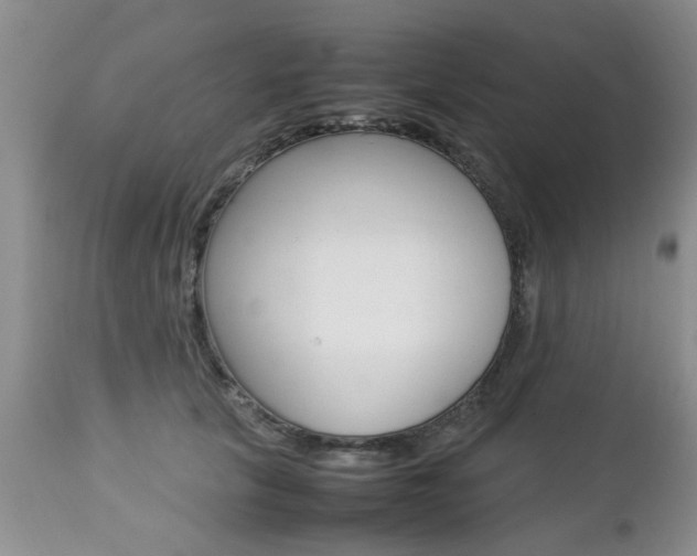 X0000112790657200908210940