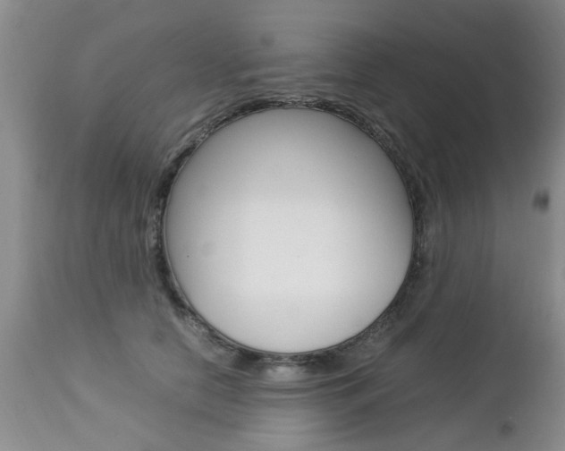X0000112790658200908210940
