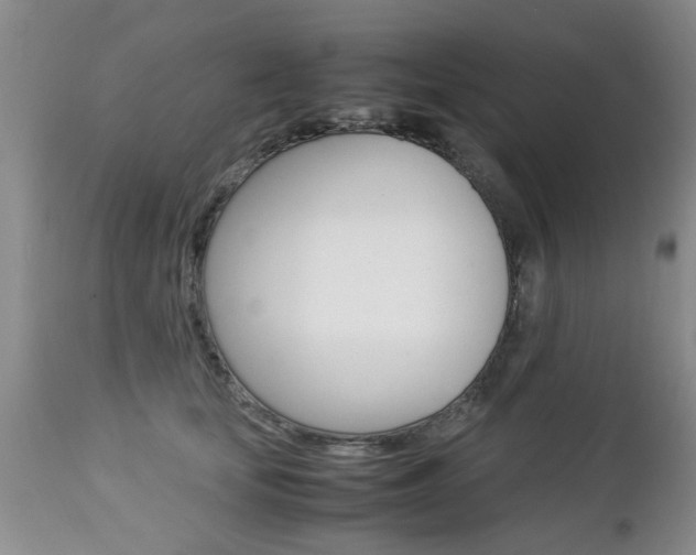 X0000112790659200908210940