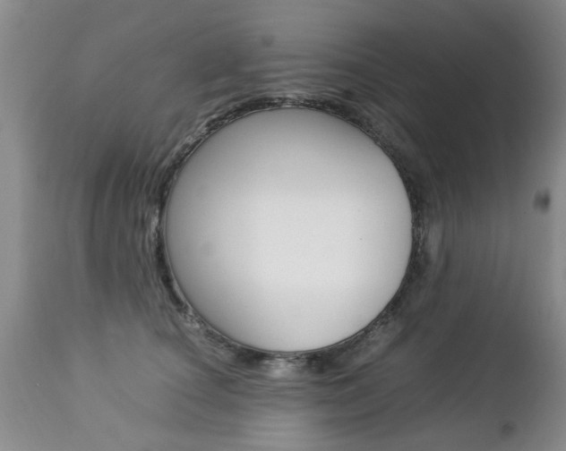 X0000112790660200908210940