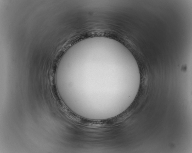 X0000112790661200908210940