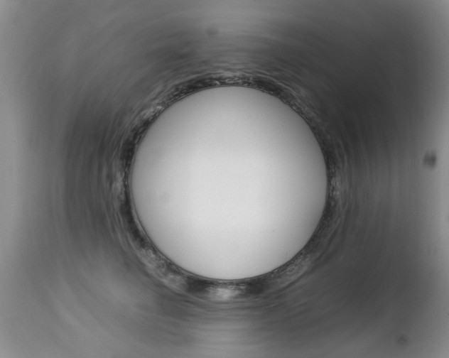 X0000112790662200908210940