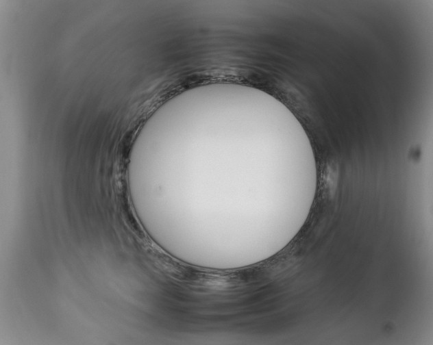 X0000112790663200908210940