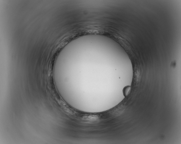 X0000112790665200908210940