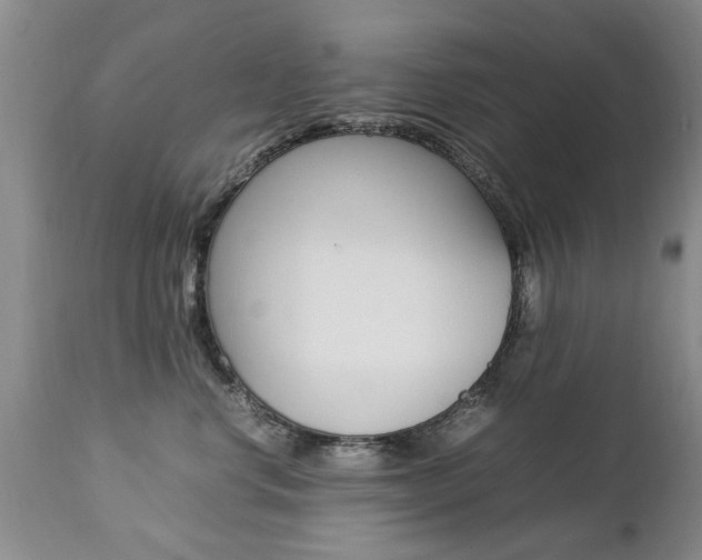 X0000112790668200908210940