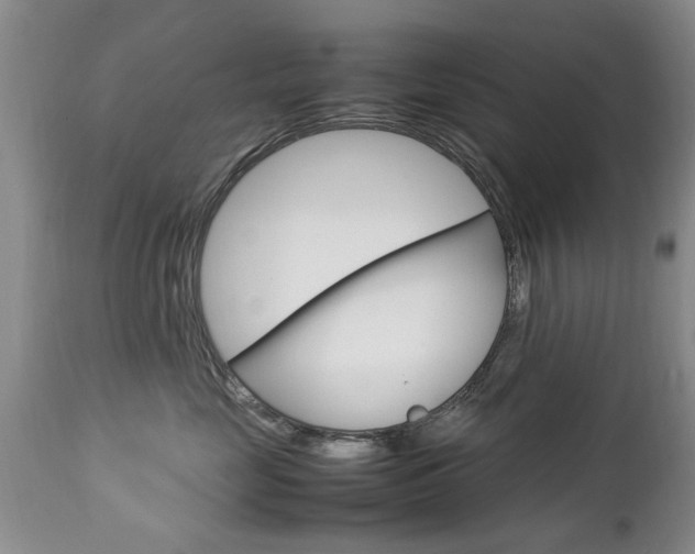 X0000112790669200908210940