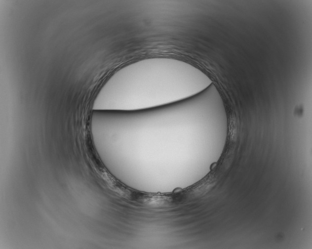 X0000112790670200908210940
