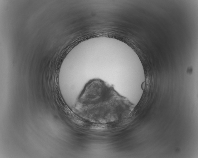 X0000112790671200908210940