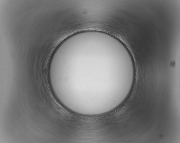 X0000112790673200908210939