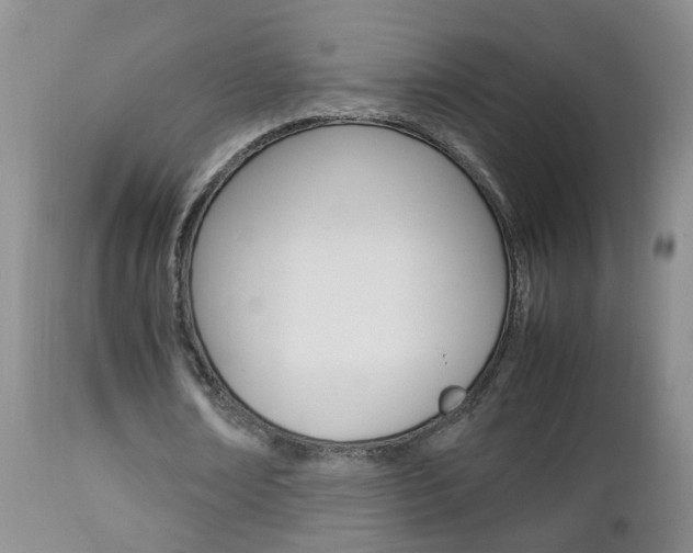 X0000112790674200908210939