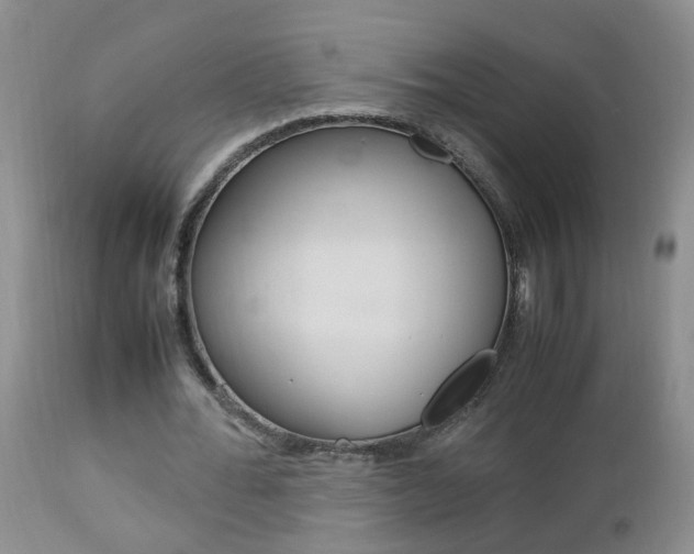 X0000112790676200908210939