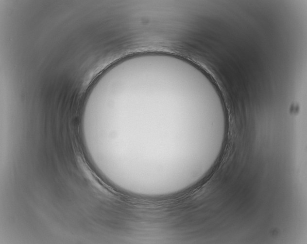 X0000112790677200908210939