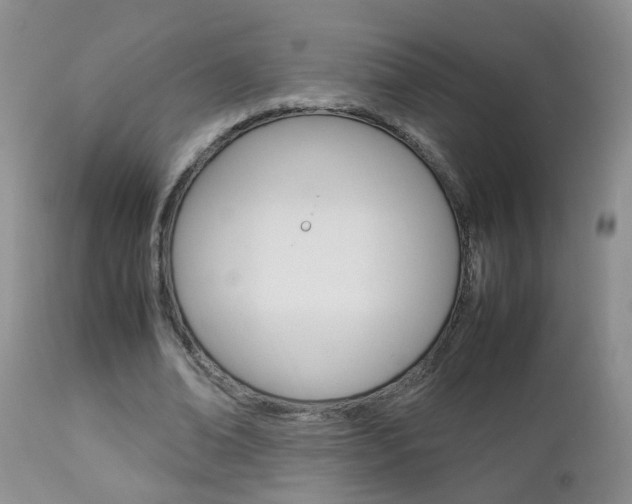 X0000112790678200908210939