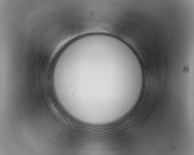 X0000112790680200908210939