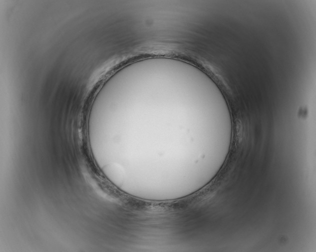 X0000112790682200908210939