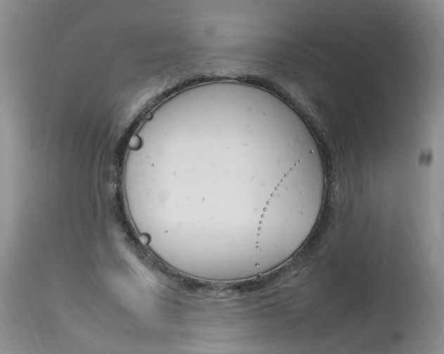 X0000112790683200908210939