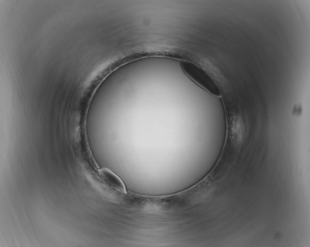 X0000112790684200908210939