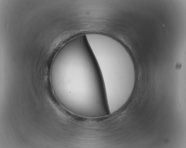 X0000112790685200908210939