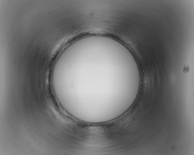 X0000112790686200908210939