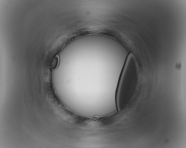 X0000112790689200908210939