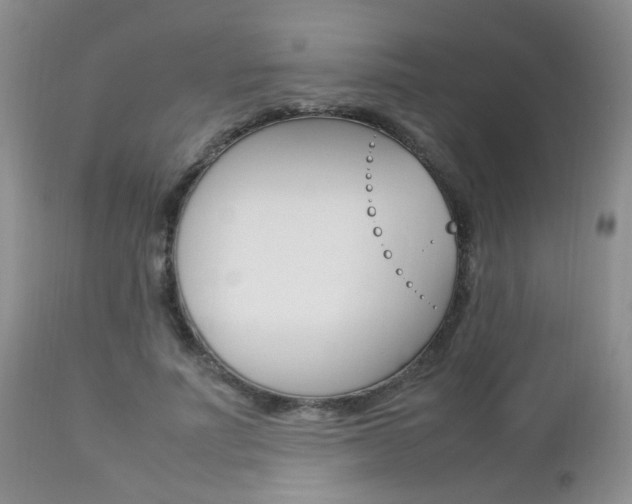 X0000112790691200908210939