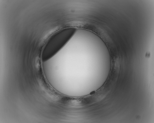X0000112790692200908210939