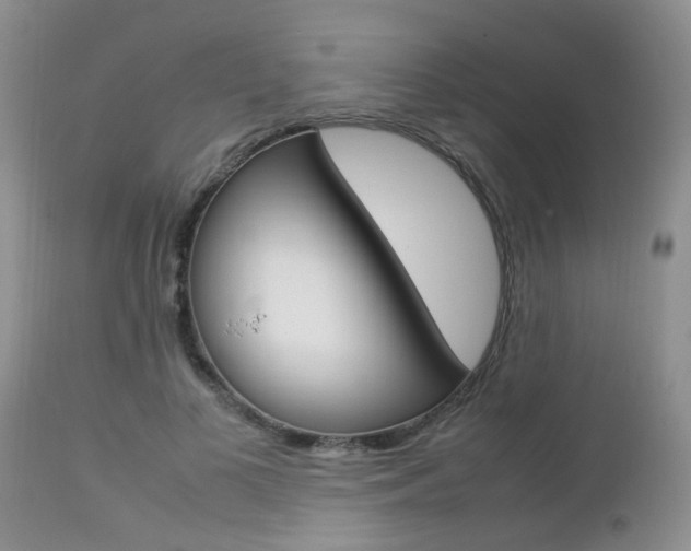 X0000112790693200908210939