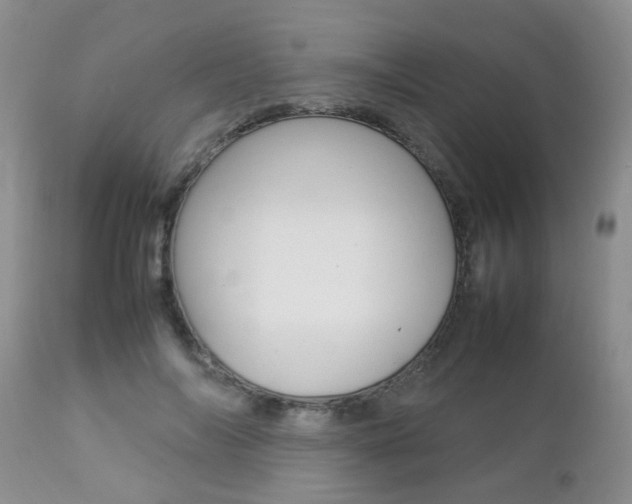 X0000112790694200908210939
