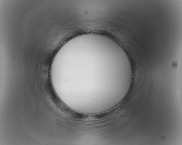 X0000112790695200908210939