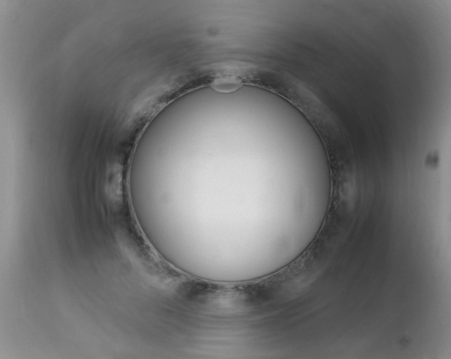 X0000112790696200908210939