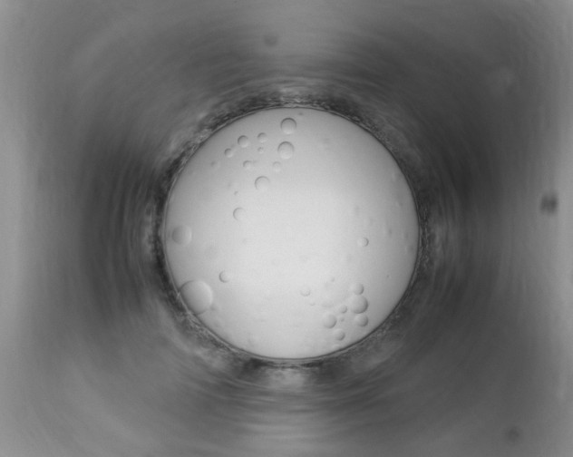X0000112790698200908210939