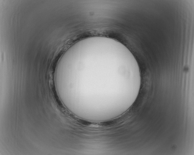 X0000112790699200908210939