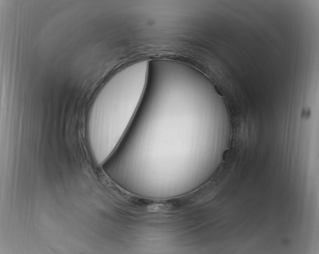 X0000112790700200908210939