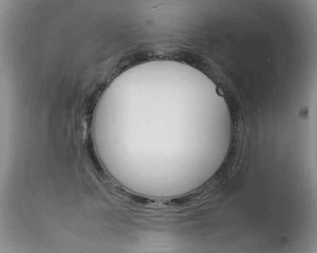 X0000112790703200908210939