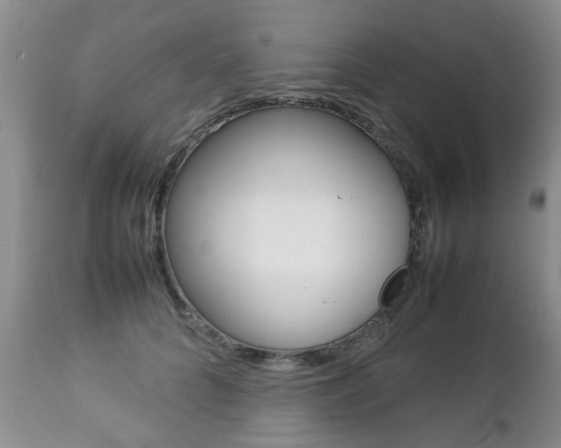 X0000112790704200908210939