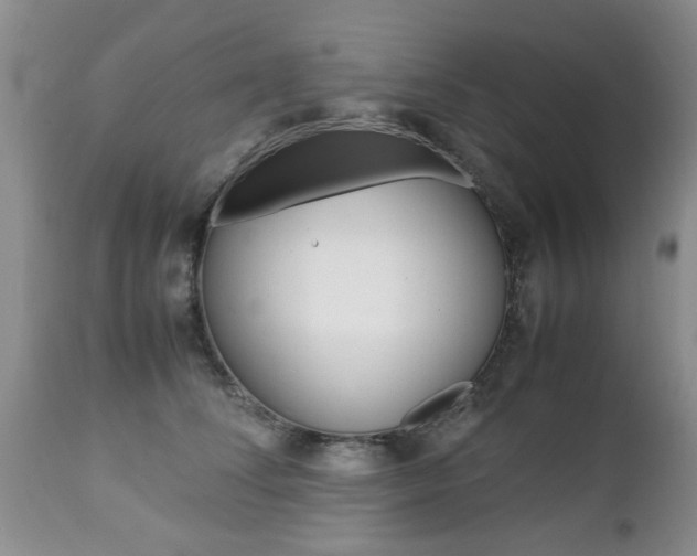 X0000112790708200908210939