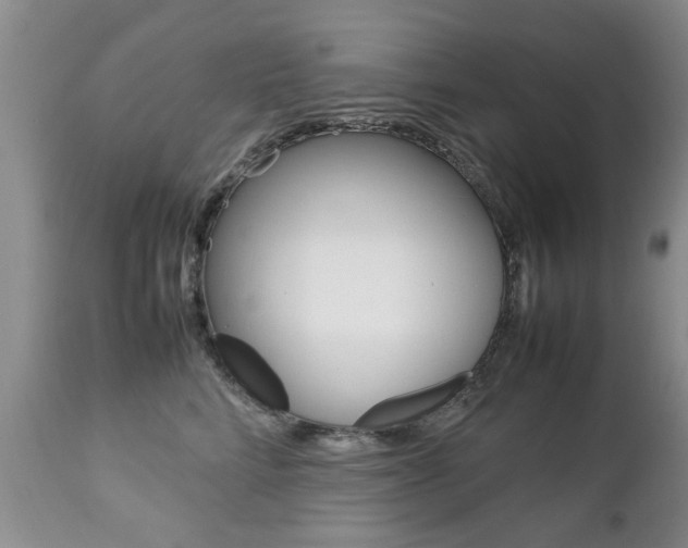 X0000112790712200908210938