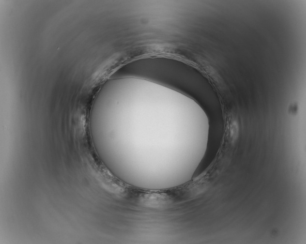 X0000112790716200908210938