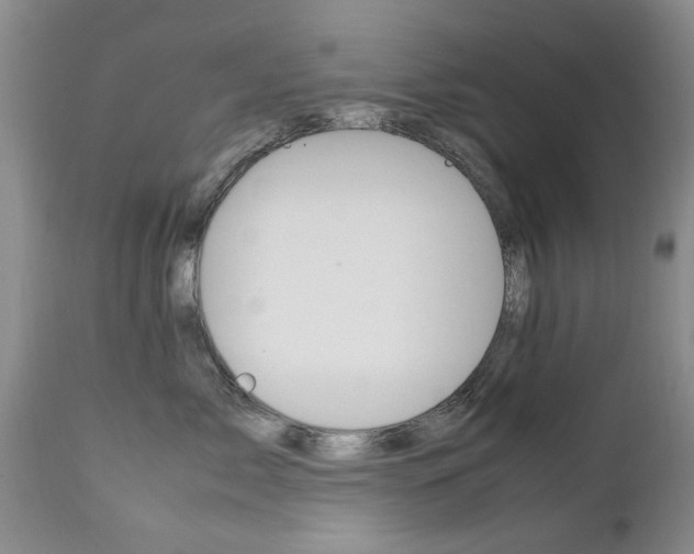 X0000112790717200908210938