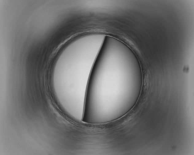 X0000112790722200908210937