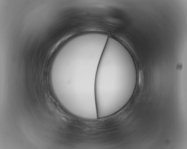 X0000112790723200908210937