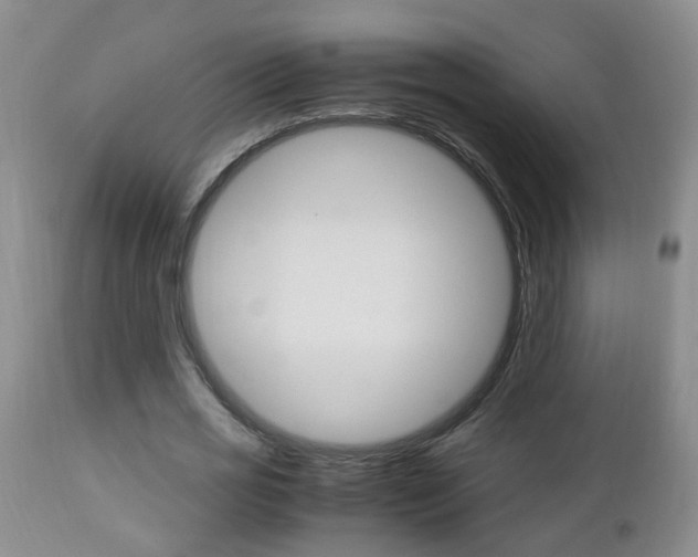 X0000112790725200908210937