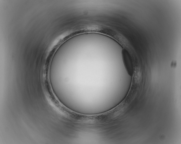 X0000112790726200908210937