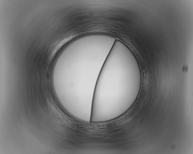 X0000112790727200908210937