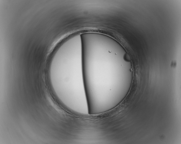 X0000112790728200908210937