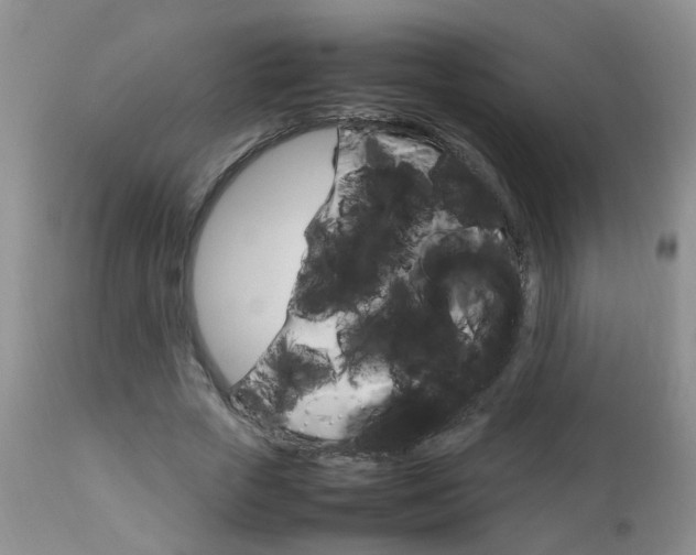 X0000112790729200908210937